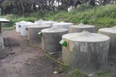 biodigester-5